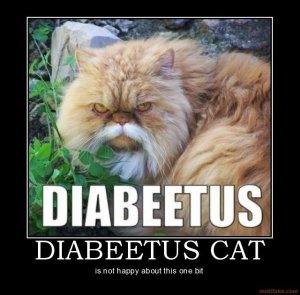 Diabeetus.  You has it.
